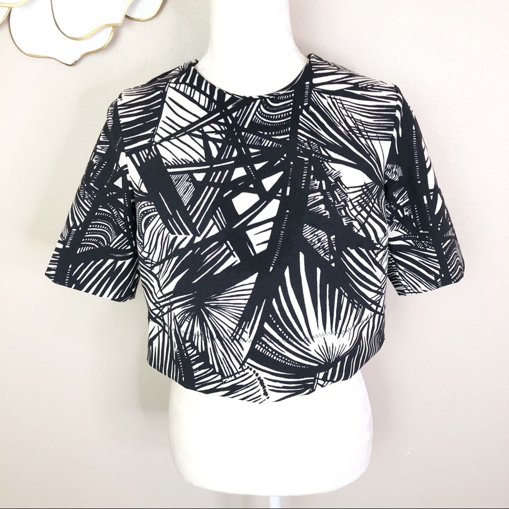 Elizabeth and James Lowell crop top in black ivory